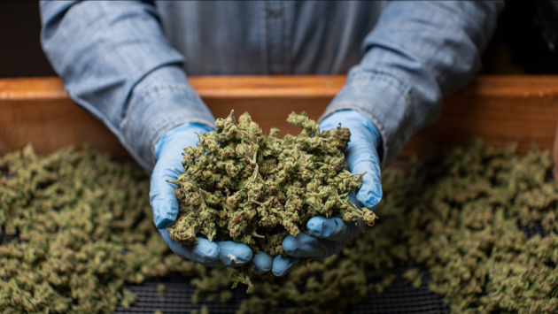 Jersey City Council Tables Ordinance To Cap Cannabis Dispensaries For Second Time