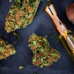 Top Rated Disposable Vapes for 2024 4 The Best Disposable Vape: Top Rated Options In 2024