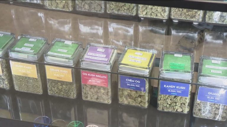 Minneapolis Sets New Regulations For Cannabis Businesses