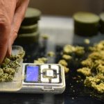 Maryland Unveils Cannabis Use Tracking Dashboard 3 Maryland Launches Dashboard To Track Cannabis Use A Year After Recreational Legalization