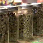 MN Cannabis License Lottery: Lawsuit Filed To Halt Drawing; A Second Expected
