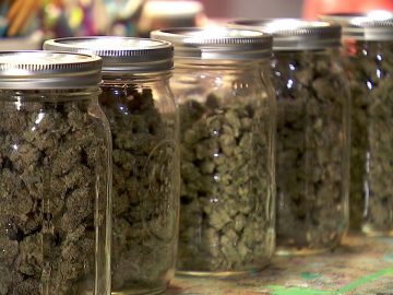 MN Cannabis License Lottery: Lawsuit Filed To Halt Drawing; A Second Expected