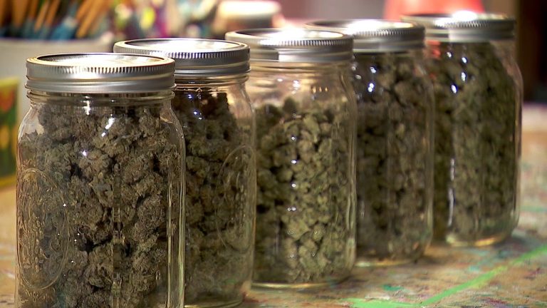 MN Cannabis License Lottery: Lawsuit Filed To Halt Drawing; A Second Expected