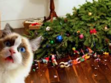 Can CBD Keep Cats From The Christmas Tree