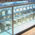 Kentucky Launches Medical Cannabis Certifications December 1 3 Kentucky Medical Cannabis Certifications Begin Dec. 1