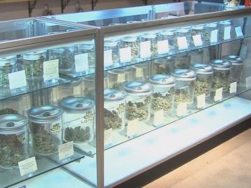 Kentucky Medical Cannabis Certifications Begin Dec. 1