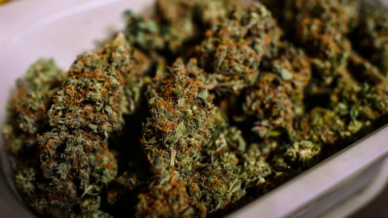 Top Pick For Cannabis Control Commission Chief Turns Down Offer