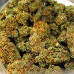 Fairfax Fast-Tracks Cannabis Store Move 5 Fairfax Expedites Consideration Of Cannabis Store Relocation