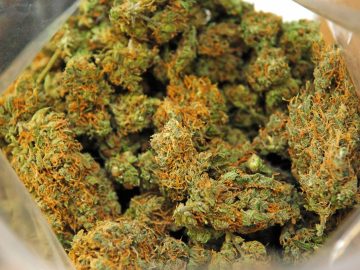 Fairfax Expedites Consideration Of Cannabis Store Relocation