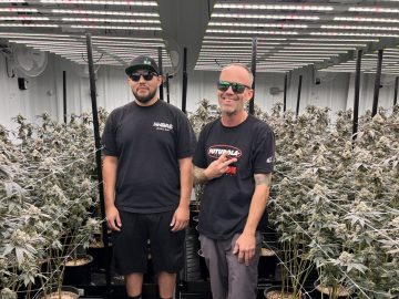 Barrio Cannabis Is Back: Meet The Grower Justin McKenzie
