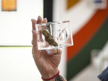Middlebury Cannabis Business Sues Vermont Regulator Over Free Speech – VTDigger