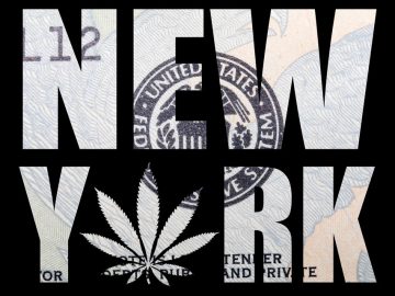 New York Cannabis Regulator Barred From Processing Retail Applications