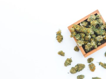 Weekly Cannabis Industry Update - December 2024 6 Week In Weed – December 14, 2024