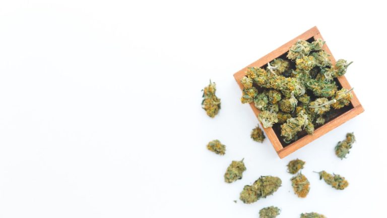 Week In Weed – December 14, 2024