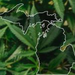 Michigan's Cannabis Prices: A Downward Trend 5 Cannabis Prices Dropping In Michigan