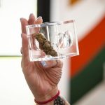 Vermont Cannabis Business Challenges Free Speech Regulations 3 Middlebury Cannabis Business Sues Vermont Regulator Over Free Speech