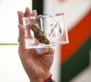 Middlebury Cannabis Business Sues Vermont Regulator Over Free Speech