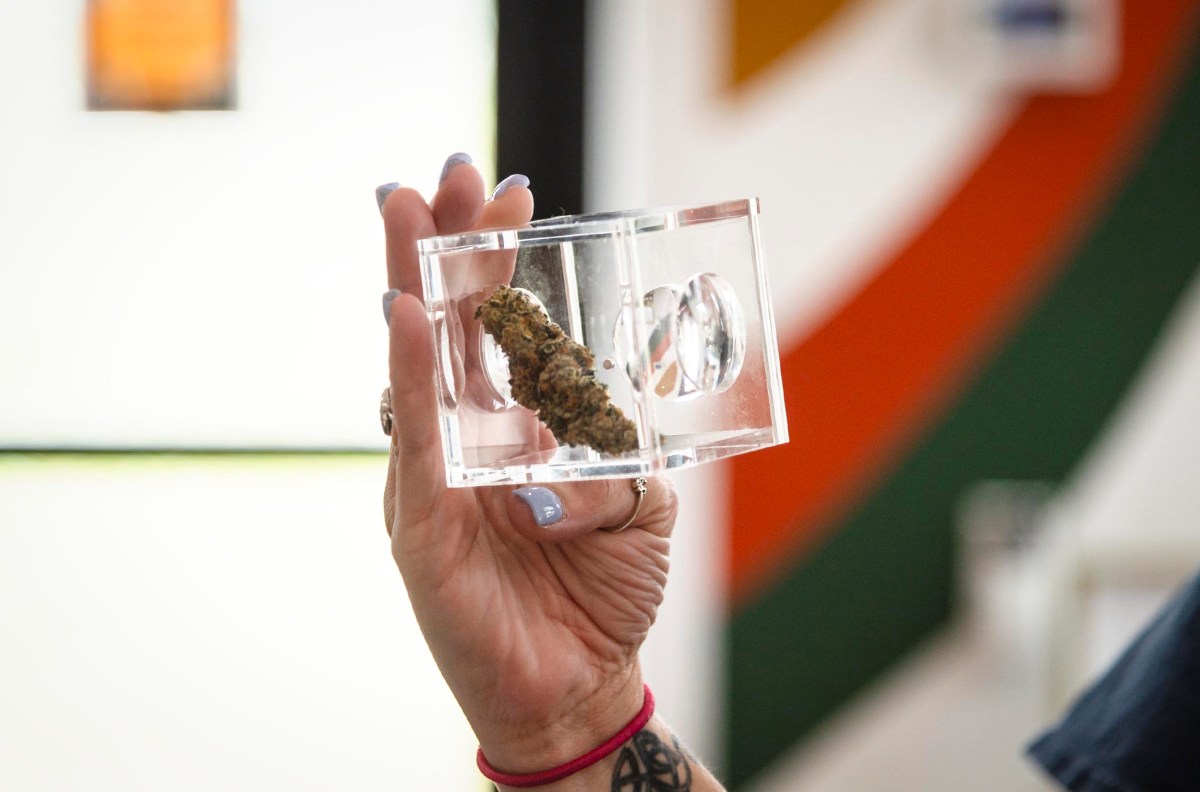 Cannabis Business Challenges Vermont Regulator’s Free Speech Limits 3 A person holds up a clear case displaying a single cannabis bud. The background is slightly blurred with a mix of colors.