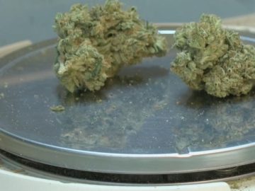 New Vaping Restrictions, Legalization Of Medical Marijuana Highlight Kentucky