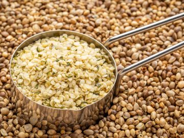 Hemp Hearts Are A Game Changer For High Protein Breakfasts – Chowhound