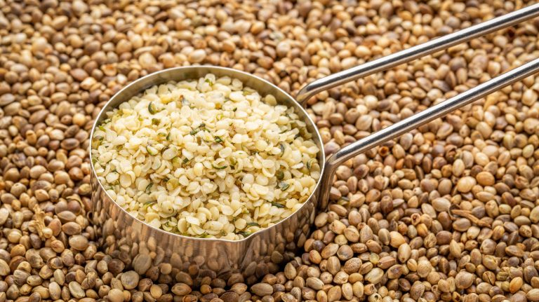 Hemp Hearts Are A Game Changer For High Protein Breakfasts – Chowhound