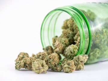 Is The Case Settled? Cannabis And Criminal Responsibility