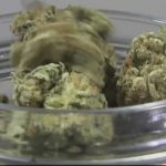 Stamford Vape Shops Raided: Over 135 Lbs of Illegal Cannabis Seized 3 More Than 135 Lbs. Of Illegal Cannabis Confiscated From 8 Stamford Vape Shops