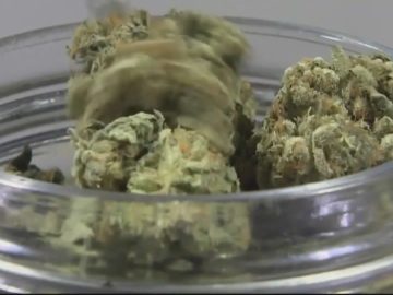 More Than 135 Lbs. Of Illegal Cannabis Confiscated From 8 Stamford Vape Shops