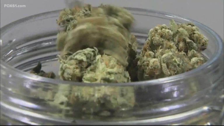 More Than 135 Lbs. Of Illegal Cannabis Confiscated From 8 Stamford Vape Shops