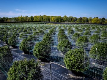 Marijuana smell from Michigan outdoor grow prompts neighbors to sue