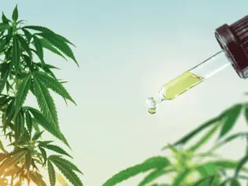 Hemp-Derived Cannabinoids Improve Sleep Quality