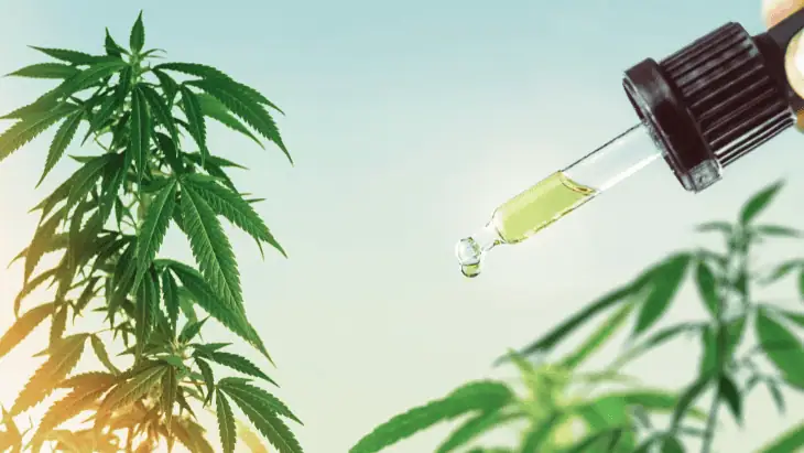 Hemp-Derived Cannabinoids Improve Sleep Quality