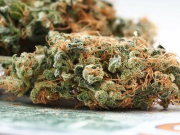 Californias 2nd Largest City To Hike Cannabis Tax 25% Amid $258M Deficit