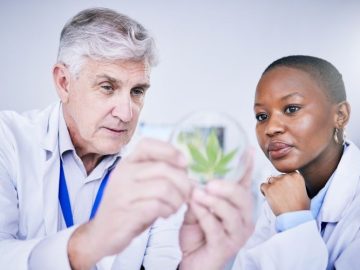 CBD and the Aging PopulationWhat Science Says Today