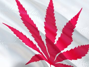 Amended Regulations For Canada’s Cannabis Industry