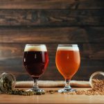 Craft Beer and Cannabis Seeds: A New Frontier in Brewing