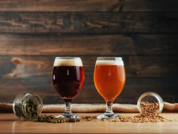 Craft Beer and Cannabis Seeds: A New Frontier in Brewing