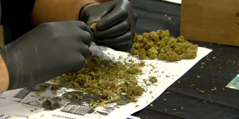 Senators want big changes in Hawaiis medical marijuana laws