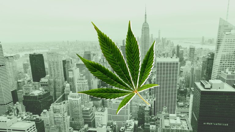 Searching For Weed Near Me In NYC? Try This First | StupidDOPE