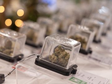 Islip Town Board To Vote On Cannabis Retail Policy