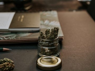DCR Revokes 25 Microbusiness Cannabis Facility Licenses – Newstalk KZRG