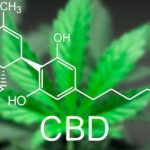 Hemp Businesses Face Challenges from 2025 USPTO Fee Changes 3 2025 USPTO Fee Changes Disproportionately Impact Hemp Businesses