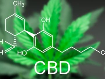 2025 USPTO Fee Changes Disproportionately Impact Hemp Businesses