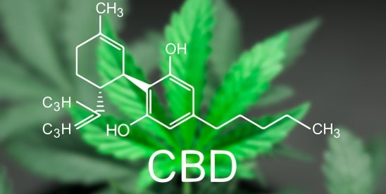 2025 USPTO Fee Changes Disproportionately Impact Hemp Businesses