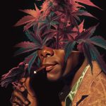 Diamond Powder, Bubble Hash & More  The Silly Nice 4/20 Survival Kit | StupidDOPE