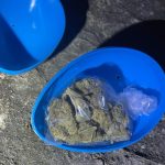 "Man Hides Cannabis Eggs in Parks: Police Search" 3 US Cops Search For Man Who Hid Cannabis Easter Eggs In Parks