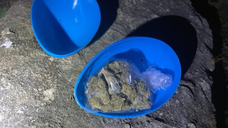 US Cops Search For Man Who Hid Cannabis Easter Eggs In Parks