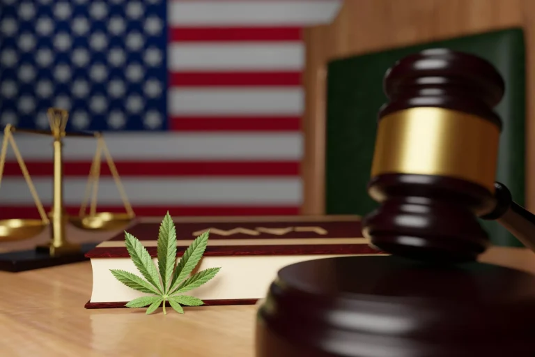 D.C. Officials Celebrate 50th Padlock Of Illegal Cannabis Store
