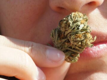 Minority Cannabis Owners Call For More State Funding And Less Regulation