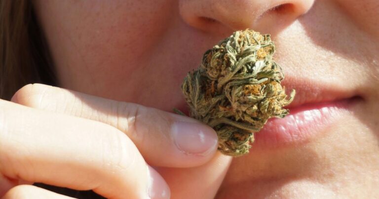 Minority Cannabis Owners Call For More State Funding And Less Regulation